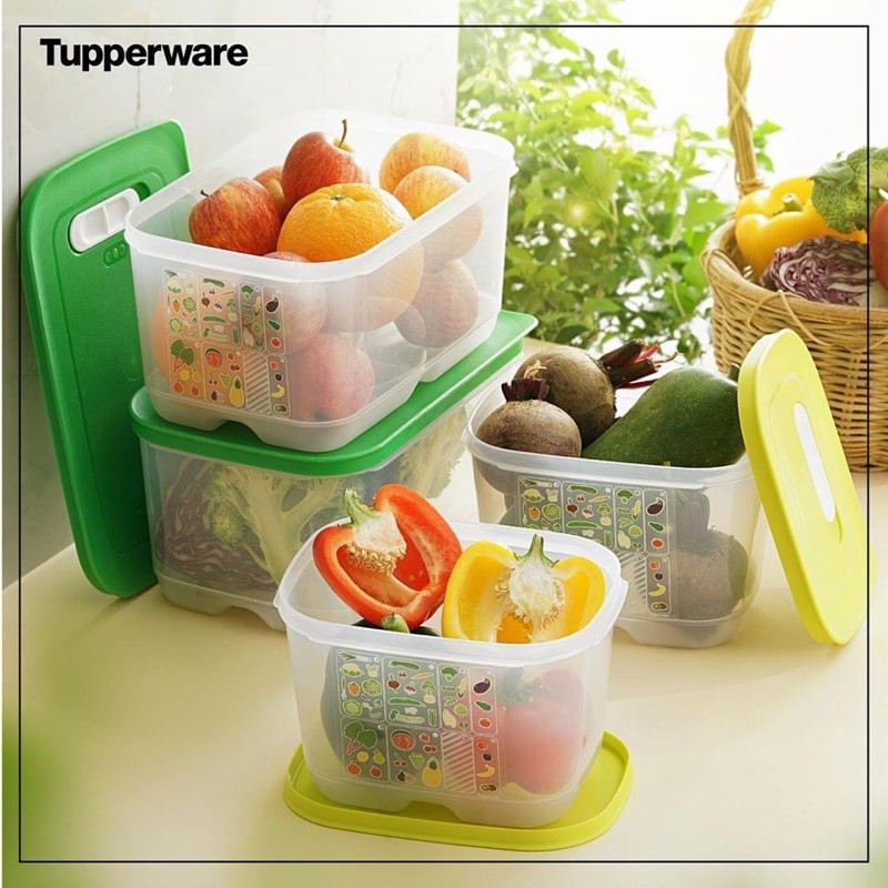 Bộ hộp trữ mát có nút hô hấp Tupperware Ventsmart 4 hộp- Hàng chính hãng Tupperware Việt Nam phân phối