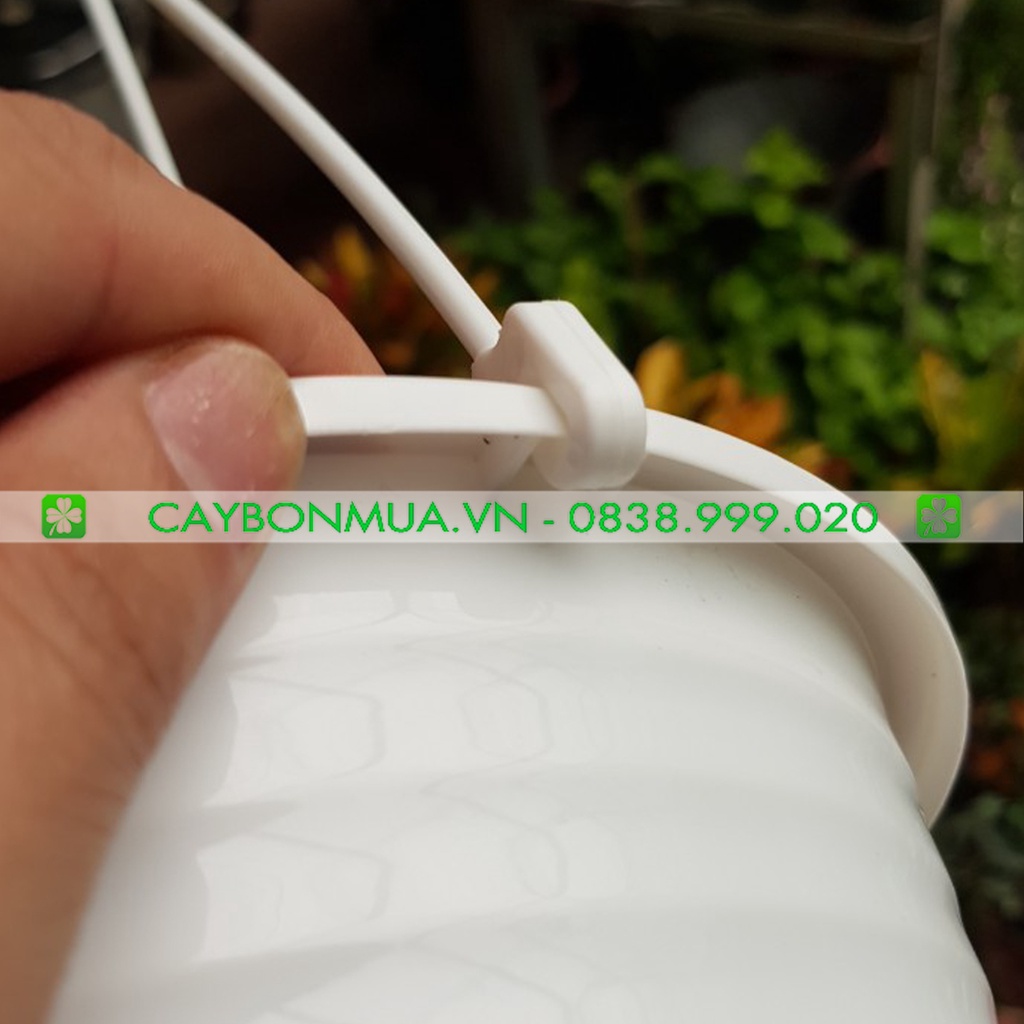 COMBO Chậu nhựa kèm đĩa xọc ngang cao câps