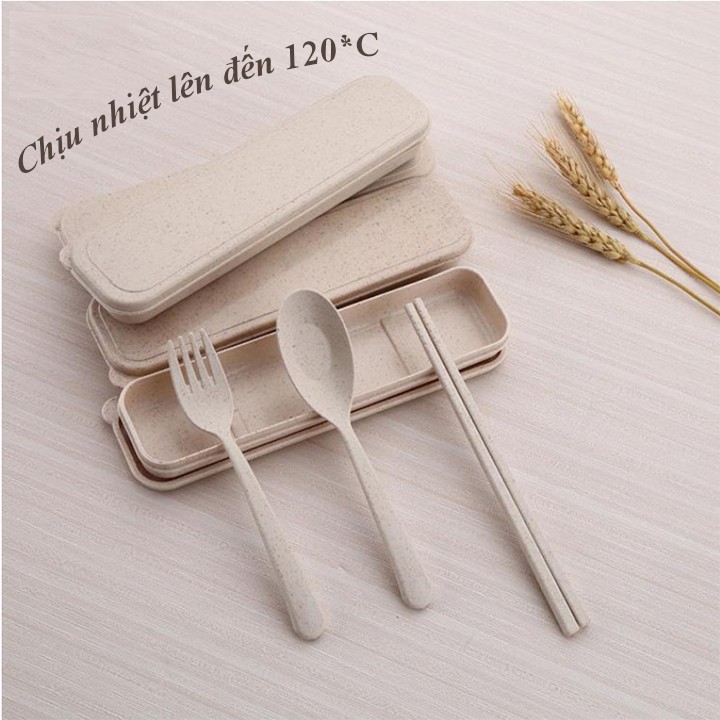 COMBO 50 SET THÌA, DĨA, ĐŨA 3 CHI TIẾT BẰNG LÚA MẠCH