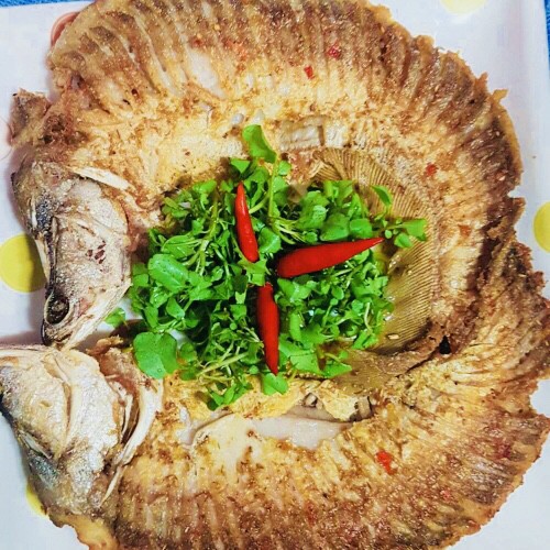 Cá thác lát rút xương  - Đặc sản Hậu Giang - Giao HCM Hỏa tốc sau 1-2h