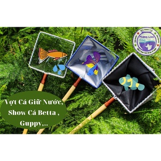 Vợt Cá Betta Guppy ( Vợt Giữ Nước )