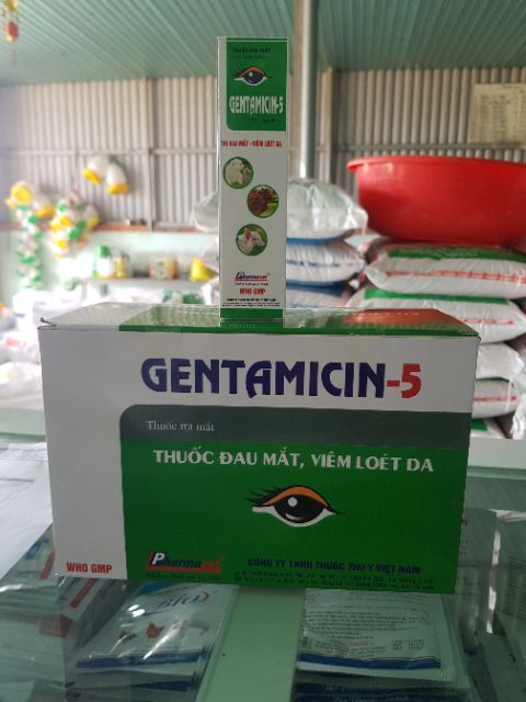 Gentamicin-5 thuốc tra mắt dành cho thú chai 50ml