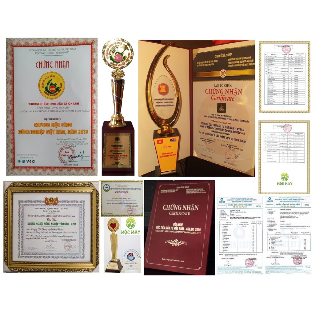 Tinh Dầu Tràm Cao Cấp Nguyên Chất 100% Hãng MỘC MÂY (Hàng Loại 1) - NK