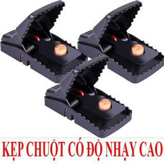 BẪY CHUỘT ĐEN THÔNG MINH