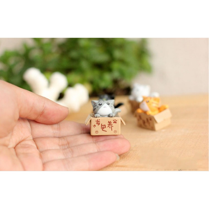 Mèo con tìm chủ mới về trang trí vườn cây, tiểu cảnh miniature