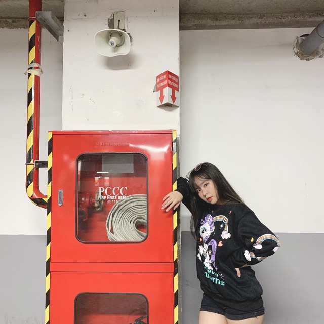 ÁO SWEATER IN NGỰA CẦU VỒNG KUTE
