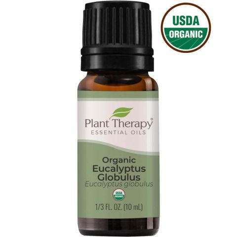 Tinh dầu bạch đàn hữu cơ (Eucalyptus) Plant therapy 10ml