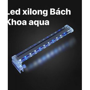 Đèn LED XILONG ánh sáng trắng điểm xanh