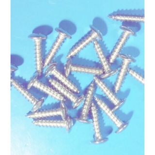 Vít dù xoắn inox 3-4lyx100gr..