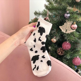 TẤT BÒ SỮA CÓ SẴN