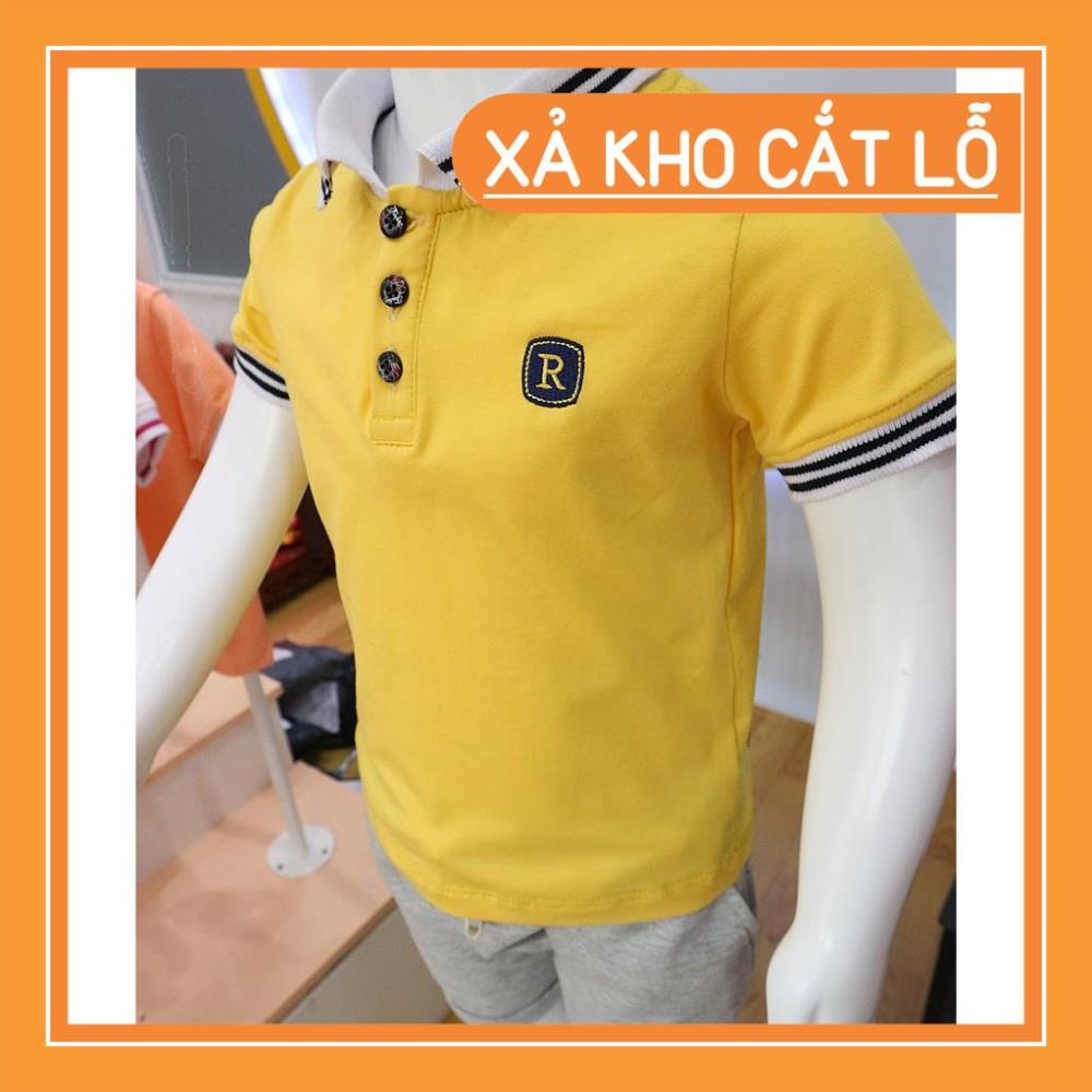 Combo 2 áo Polo cho Bé Trai cao cấp (9-29kg)- Royal KIDS