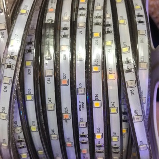 Dây led 2835 nháy đuổi