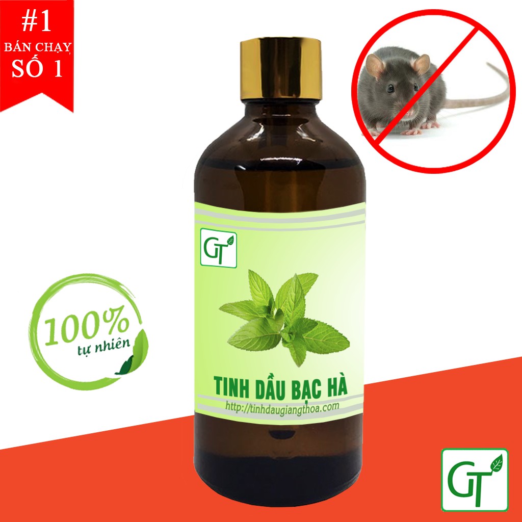 Tinh Dầu Bạc Hà GT 10-100ml | Đuổi Chuột, Xông Phòng, Treo Xe
