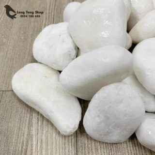 [ Nhiều size ] Đá sỏi trắng trang trí ( chọn size )