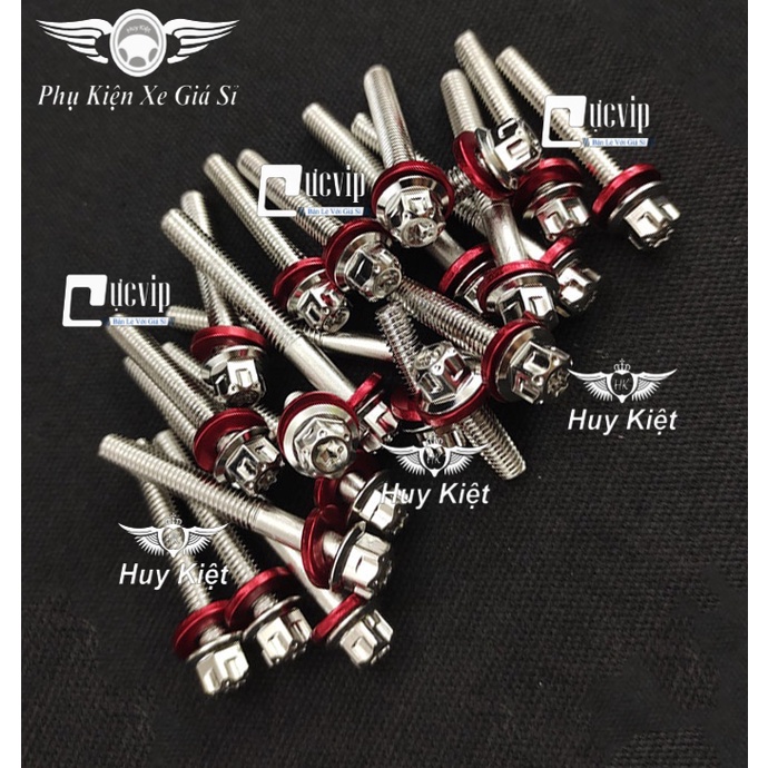 Bộ Ốc Lốc Máy Salaya Inox 304 + Lông Đền Nhôm Đỏ Cho Win,Ex,Sonic,Raider,Satria,Sirius,Future,SH,Vario,AB,Vision,dr,wave