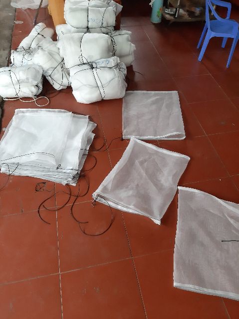 COMBO 50 - TÚI ĐỰNG SÂU CANXI - RUỒI LÍNH ĐEN , TÚI ĐỰNG DẾ