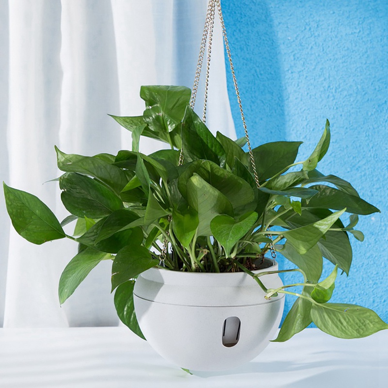 Bộ 2 Giỏ Nhựa Trồng Cây Tự Tưới Có Móc Treo Có Thể Tháo Rời Đế Trắng