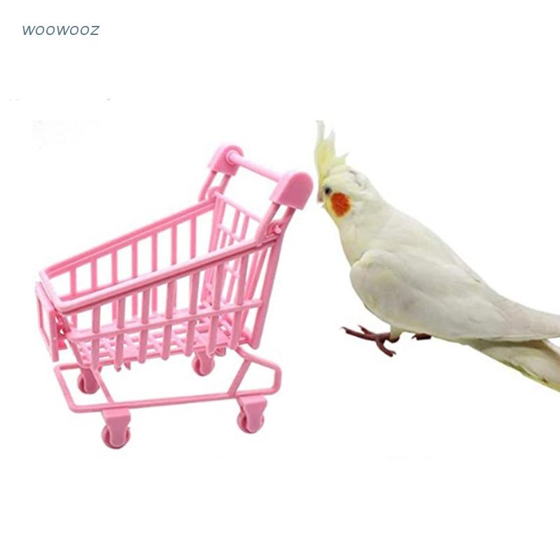 Đồ Chơi Xe Đẩy Chim Vẹt Màu Hồng Để Bàn Trang Trí