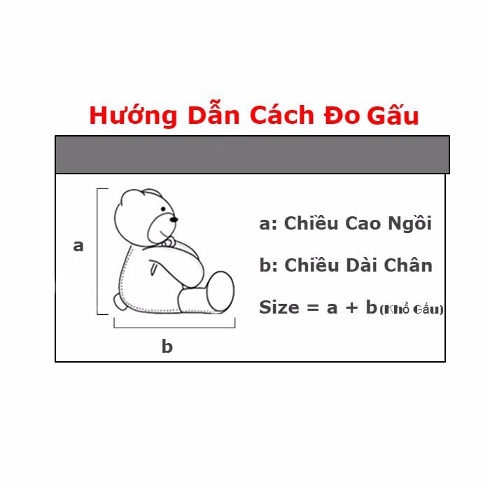 Gấu Teddy Socola khổ 1m8