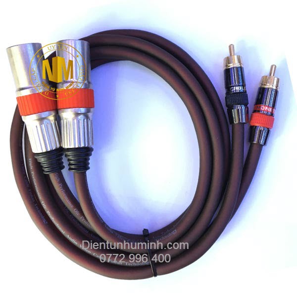 Dây CANON Đực ra AV 1M