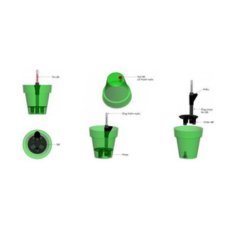 Chậu trồng cây tự dưỡng