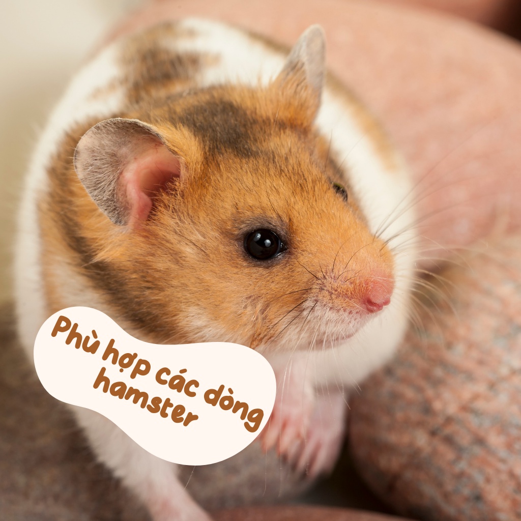 Sữa dê cho hamster, sóc, bọ, nhím, thỏ tuýp JESSIE