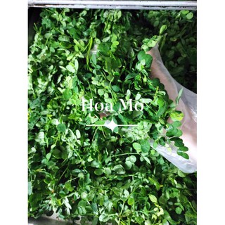 Combo 10vị bột rau củ sấy lạnh