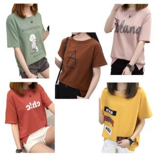 Combo 5 áo phông nữ