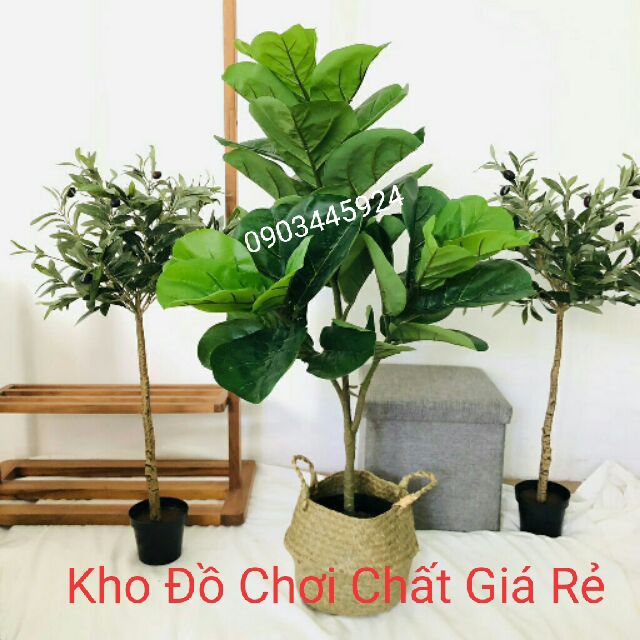 CÂY BÀNG SINGGAPORE CAO CẤP CAO 100CM (3 NHÁNH)-CÂY GIẢ