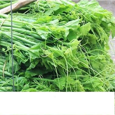 Hạt Giống Rau Bí Siêu Ngọn Giòn Ngọt, Năng Suất Cao 10gr