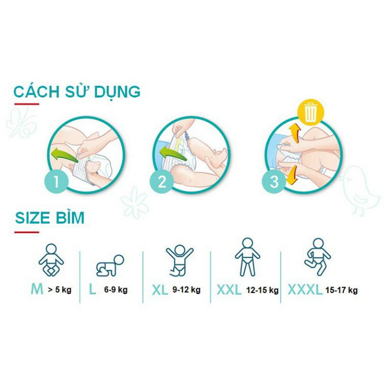 COMBO BỈM TRẦN XUẤT NHẬT HIPPGIG A bo mông, siêu thấm hút, siêu mềm mịn mỏng đủ size M100/XL100/XXL100/XXXL100