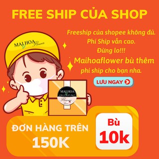 Voucher miễn phí vận chuyển của maihoaflower