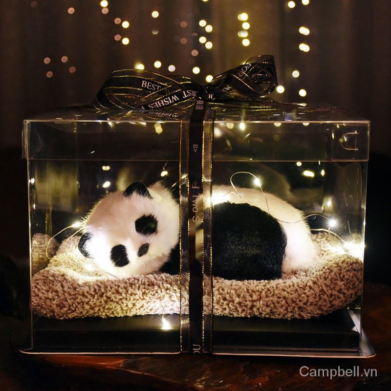 Hộp quà tặng sinh nhật sáng tạo dịp Lễ tình nhân cho bạn gái và bạn bè