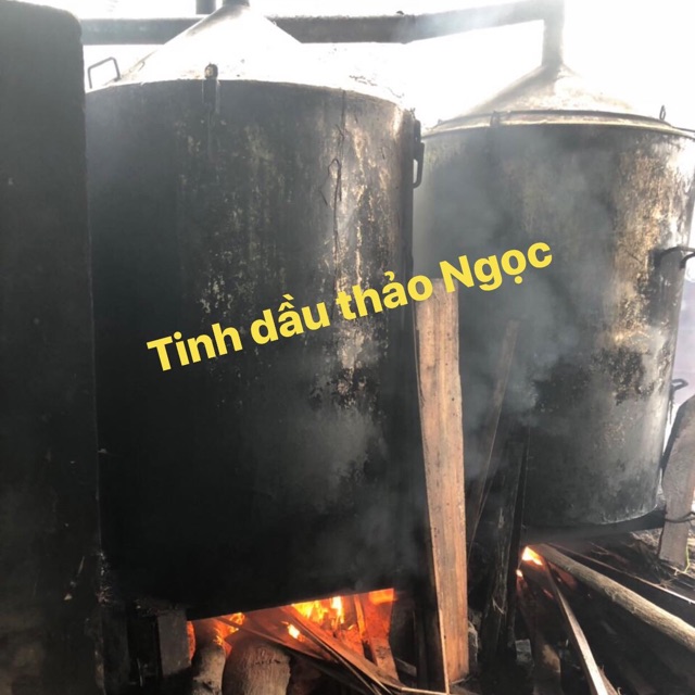 1 chai Tinh dầu tràm thảo ngọc