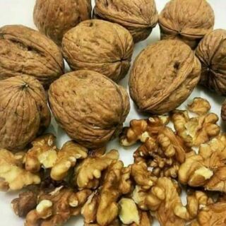 Óc chó hạnh nhân sapa
