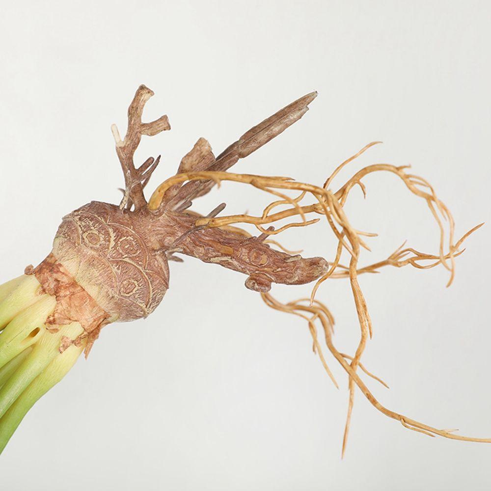 Cây Cảnh Giả Trang Trí Không Gian Xanh Trong Nhà