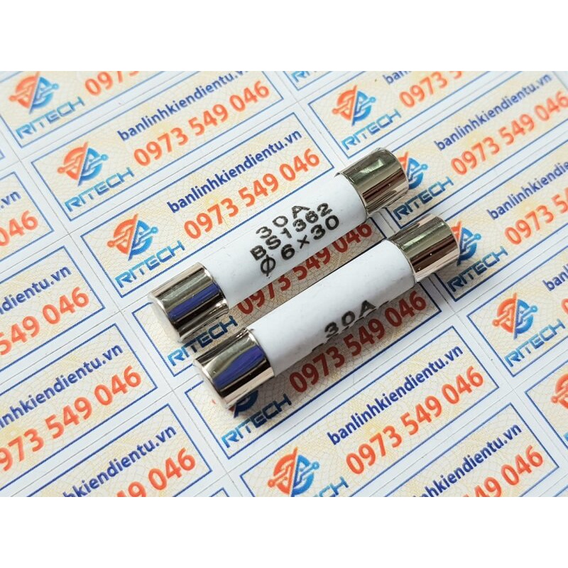 [ Combo 10 chiếc] Cầu chì sứ R058 30A 250V BS1362 6X30MM