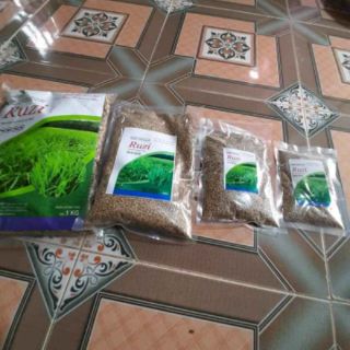 Cỏ Ruzi – Chịu Dẫm đạp (Gói 100g)
