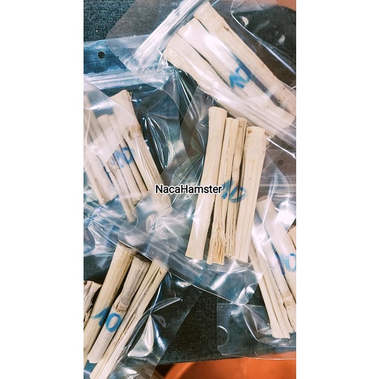 Tre ngọt mài răng hamster, chinchila, bọ ú