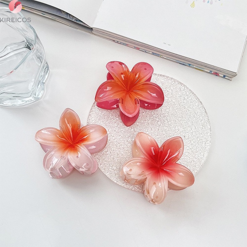 Gấp Tóc Kẹp Tóc Cào Tóc Hoa Sứ Nhiều Màu Xinh Tươi