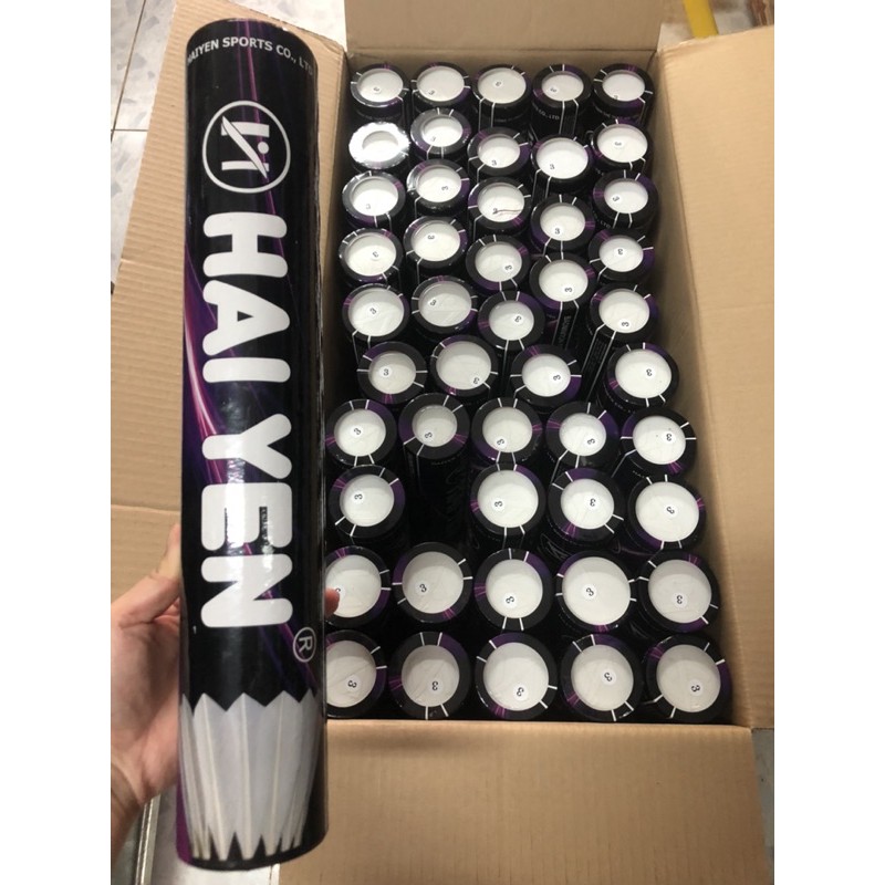 Cầu lông Hải Yến S70