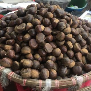 Hạt dẻ thơm ngon 1kg 75k