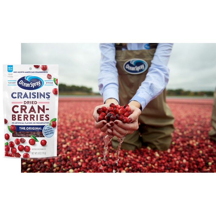 [DATE MỚI] Nam Việt Quất Sấy Khô Ocean Spray Craisins Whole Dried Cranberries (CHUẨN USA)