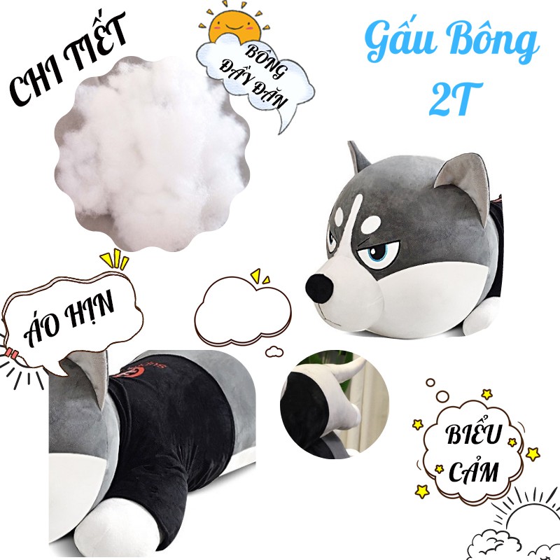 Gấu bông chó husky siêu to khổng lồ siêu đáng yêu. G02