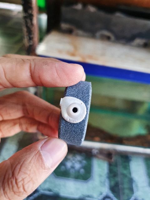 SỦI DĨA OXY HỒ CÁ NON BỘ ĐƯỜNG KÍNH 4CM