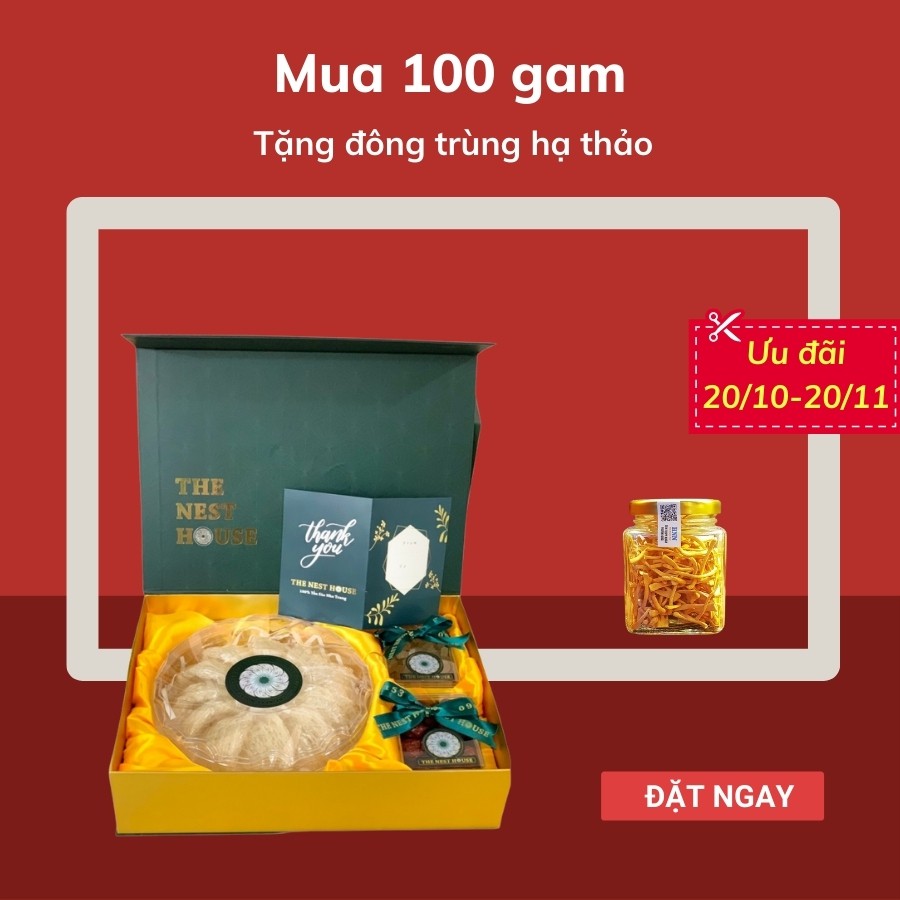 Yến miếng vuông chia sẵn tiện lợi - tổ yến tinh chế thương hiệu The Nest House