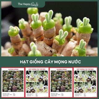 Hạt giống Sen đá/ Xương rồng/ Tai thỏ