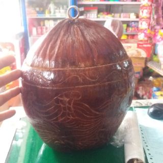 Vỏ bình trà làm bằng trái dừa