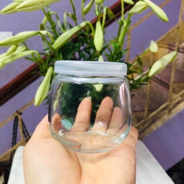 Hũ thủy tinh làm sữa chua dáng béo 200ml_LilyGlass | BigBuy360 - bigbuy360.vn