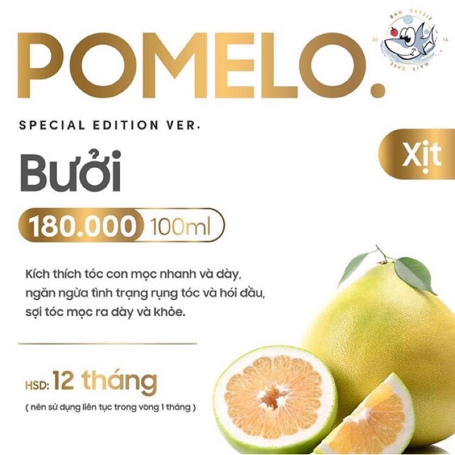 Pro POMELO Hair Mist - Xịt Bưởi Kích Mọc Tóc X2 (Tặng kèm 1 vòi xịt dự phòng)